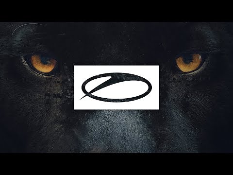 DRYM - Cougar