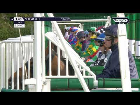 Race (5) 15:40 Newmarket 12 Oct 2024 Club Godolphin Cesarewitch Handicap.