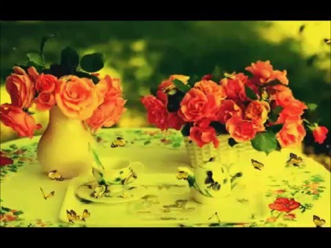 Directia 5 feat Andra -  Primele zile de primavara