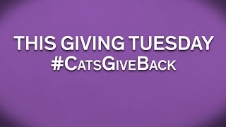 #CATSGiveBack - Northwestern's Giving Tuesday