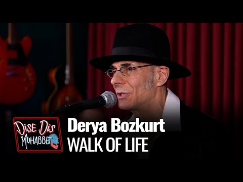 Walk Of Life