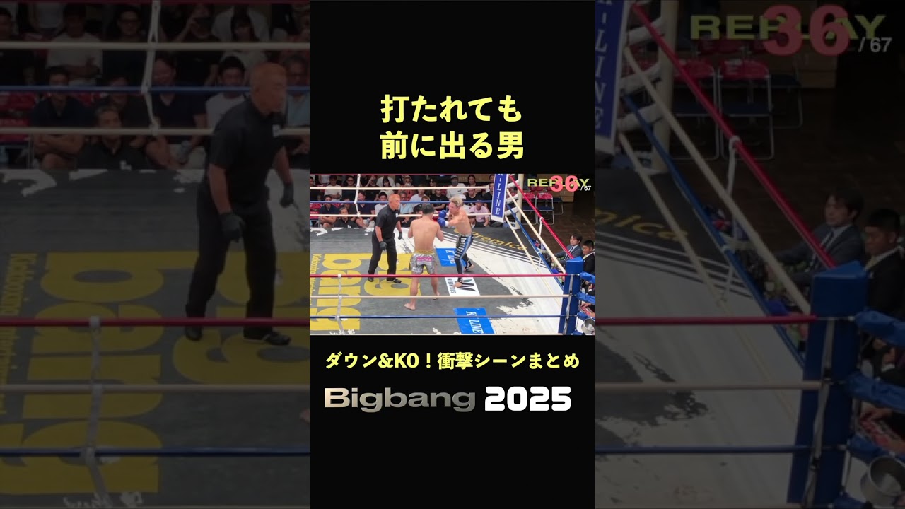 タフすぎる！衝撃KO &ダウンまとめ 2025PART20