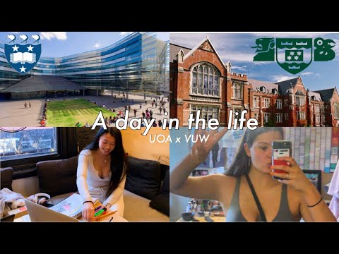 student life in Auckland vs Wellington New Zealand (vlog style)