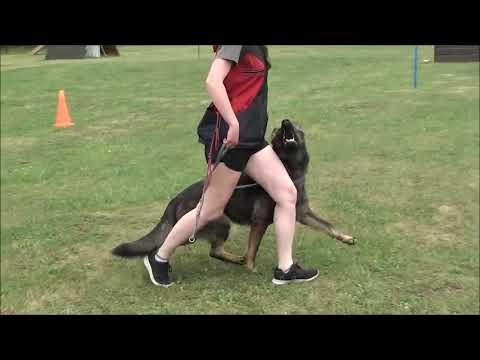 Dixi King Adventure (Charlotte Anrebri x Red Bull ze Stříbrného kamene)