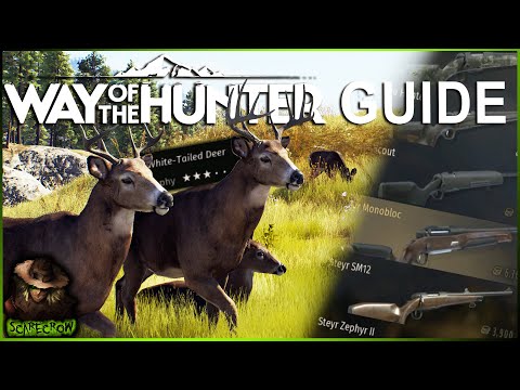 The ULTIMATE Day 1 Guide To Getting Started In Way Of The Hunter!