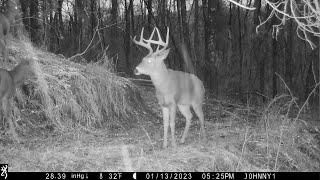 John's Last Day of Flintlock Muzzleloader Deer Hunting Season 2023 Trail Camera Photos of BIG BUCKS!