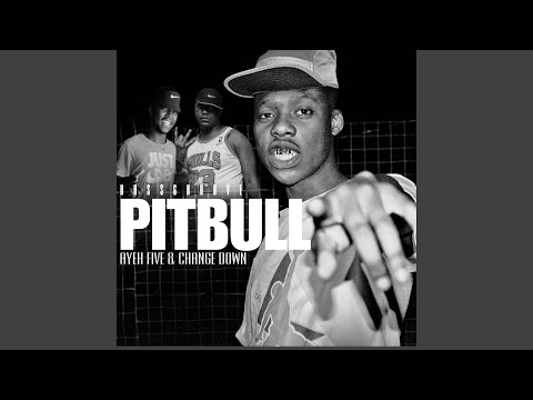 Pitbull II (feat. Ayefive, Change Down & Dj sketch) (Bassgroove)