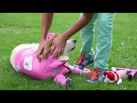 ameliorați inflamația șoldului