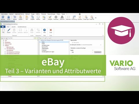 Anbindung eBay an VARIO 8 - Teil 3: Attribute und Varianten verwalten