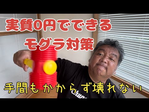 モグラに対する植物: 緑地からモグラを遠ざけるためのトップ 3!  庭園