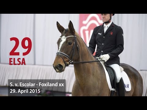 29 Elsa Stute v. Escolar - Foxiland xx