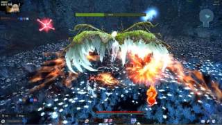 미리 아인라허 레지나