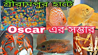 অস্কারের সম্ভার শ্রীরামপুরের শখের হাটে | Aquarium Fish Serampore Haat | Shrirampur Pet Market | Fish