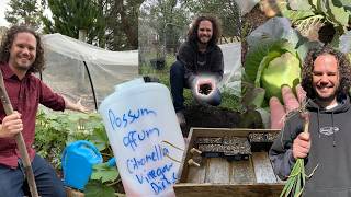 How to beat the cost of living crisis and still grow an abundance. Tips, tricks and great advice
