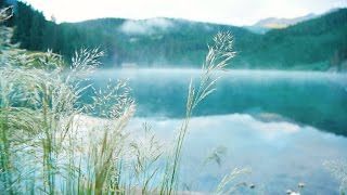 Inspiring Light Music - calm, relaxing, positive - relaxdaily N°089