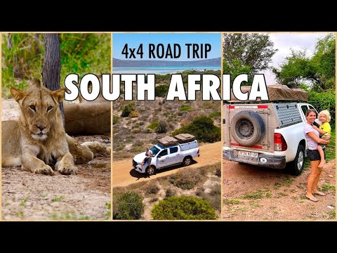 SOUTH AFRICA - The ULTIMATE Road Trip from CAPE TOWN to KRUGER PARK