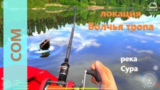 Как поймать сома в реке сура