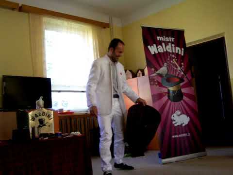 515 kouzelnik waldiny 3
