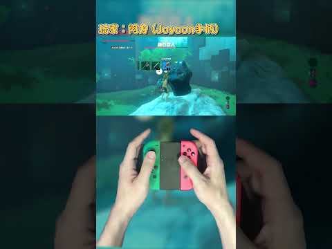 Trial of the Sword - Beginning Trials - Floor 6 Speedrun #zelda #thelegendofzelda #shorts