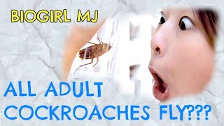 How to kill a cockroach effectively | Biogirl MJ