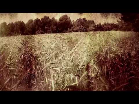 ASBAAR - Leaf Birth in Heart Of Woman