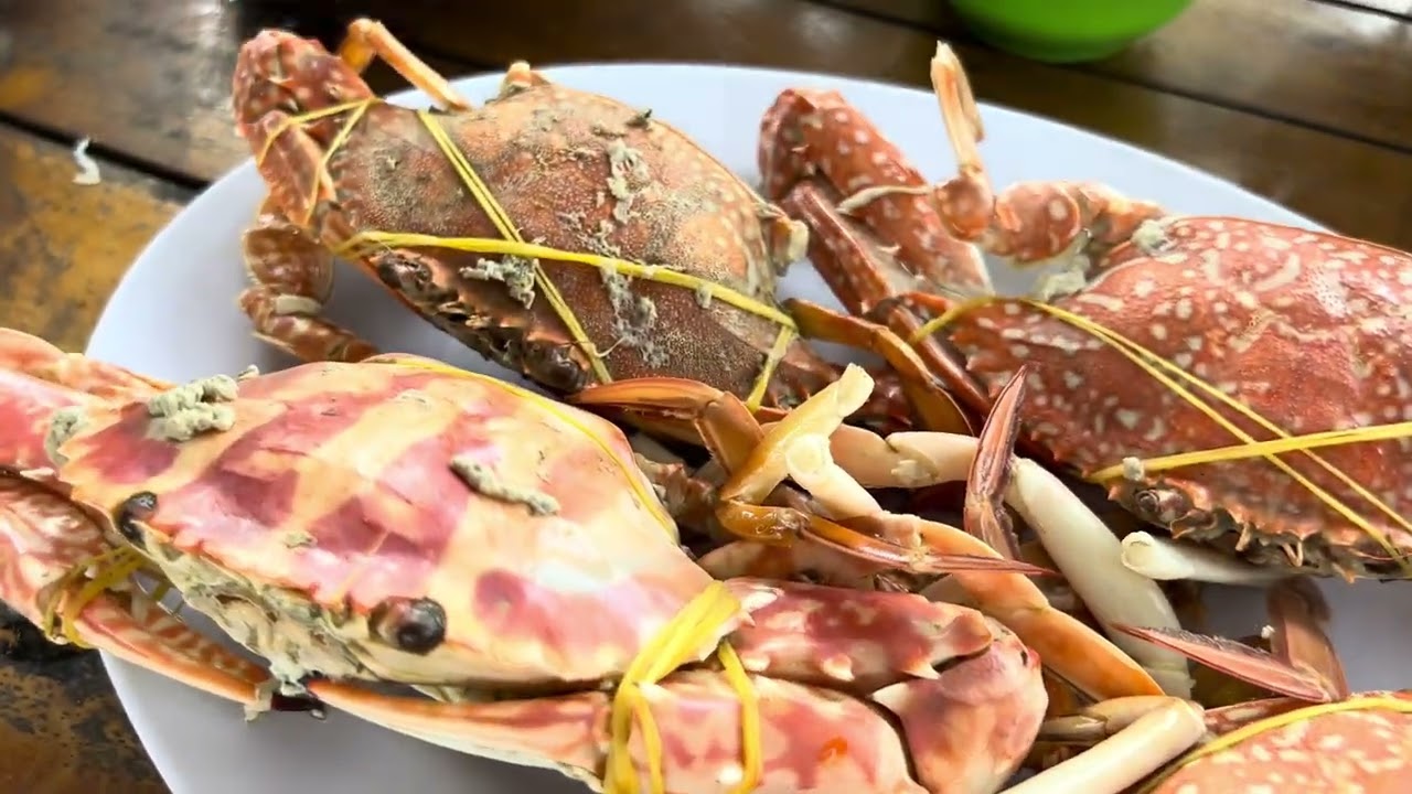 Ham Ninh Fishing Village offers captivating views of stilt houses, pristine beaches, and vibrant coastal life.