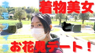 花フェスタ記念公園（岐阜県可児市）にネモフィラを見に行く！