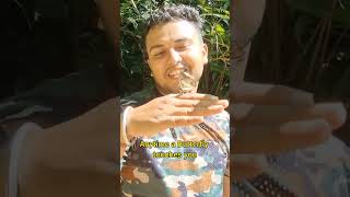 Meet the BUTTERFLY MAN of Arunachal Pradesh! 🦋 Butterflies truly changed his LIFE! 🦋