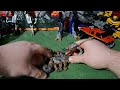 Transformers 2007 Deluxe Scorponok Review 13