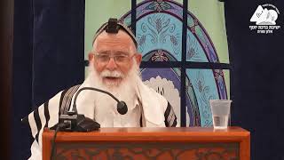 דפנות הסוכות | הלכות סוכה | הרב אליקים לבנון | 9 (ישיבת ברכת יוסף - אלון מורה) - התמונה מוצגת ישירות מתוך אתר האינטרנט יוטיוב. זכויות היוצרים בתמונה שייכות ליוצרה. קישור קרדיט למקור התוכן נמצא בתוך דף הסרטון דפנות הסוכות | הלכות סוכה | הרב אליקים לבנון | 9 (ישיבת ברכת יוסף - אלון מורה) - התמונה מוצגת ישירות מתוך אתר האינטרנט יוטיוב. זכויות היוצרים בתמונה שייכות ליוצרה. קישור קרדיט למקור התוכן נמצא בתוך דף הסרטון