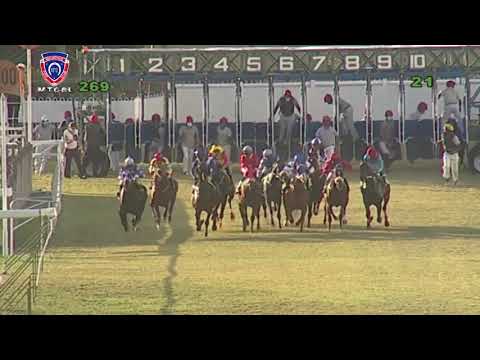 The Mr Brock Plate | Al Madhar | N.Teeha