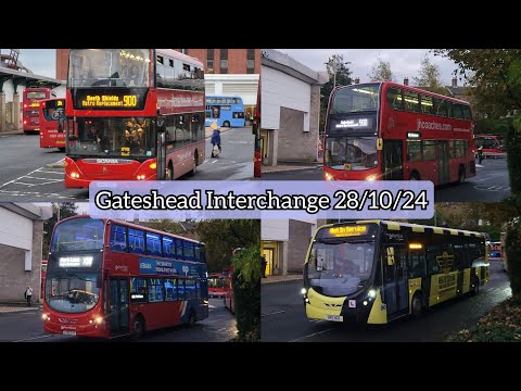 Buses at Gateshead Interchange. | 28/10/24.