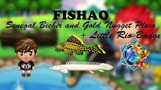 Fishao Senegal Bichir 4★ & Gold Nugget Pleco
