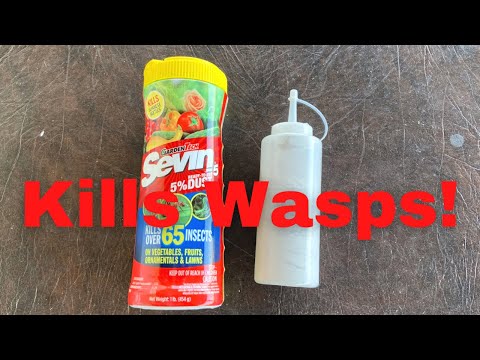 Sevin Dust WORKS GREAT at killing wasps