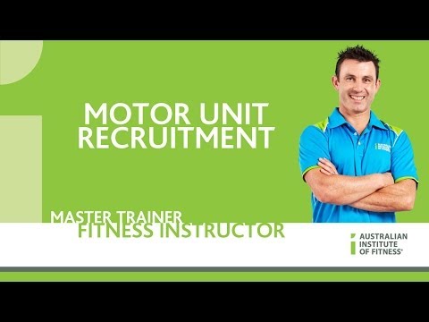 Motor Unit Recruitment