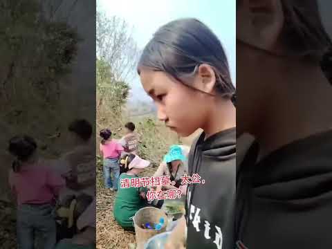 缅甸汉族祭祖 清明节出游主打一个随性 清明节扫墓。太公，你在哪？今年清明你回乡祭祖吗 又是一年清明时 清明节习俗 今年清明不一般