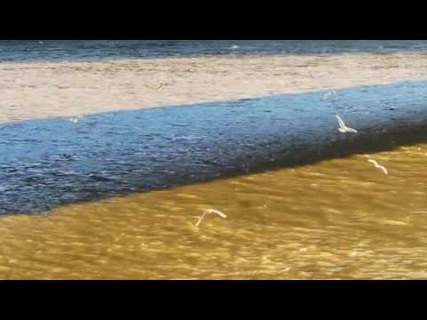 Áron Porteleki - Ákos Szelevényi (Akosh S.) duo