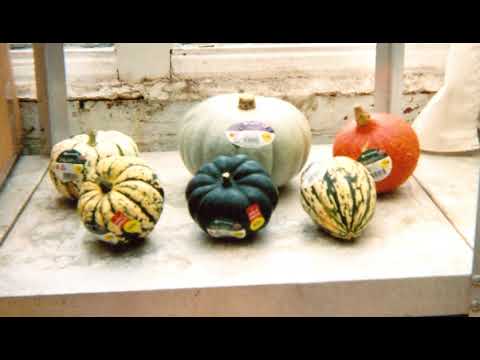 Food marketing | Wikipedia audio article