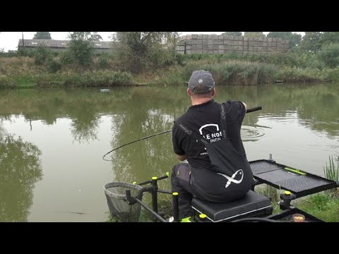 Carp On The Waggler On 2 Venues #Mugging