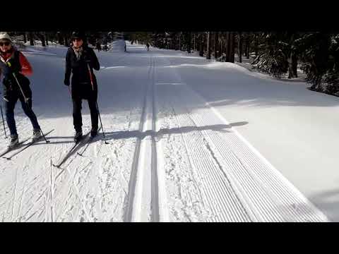 Sonne pur und Schnee beim Ski Langlauf in Oberhof (Ende Februar auf dem Rennsteig Thüringen)