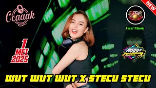 Download lagu 'DJ WUT WUT WUT X STECU-STECU' DJ OCAAK 1 MEI 2025 DJ VIRAL | GRAND DRAGON PEKANBARU mp3