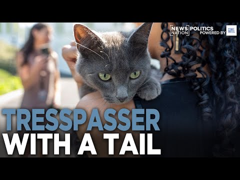 Four-Legged Trespasser Rescued By White House Press Corps