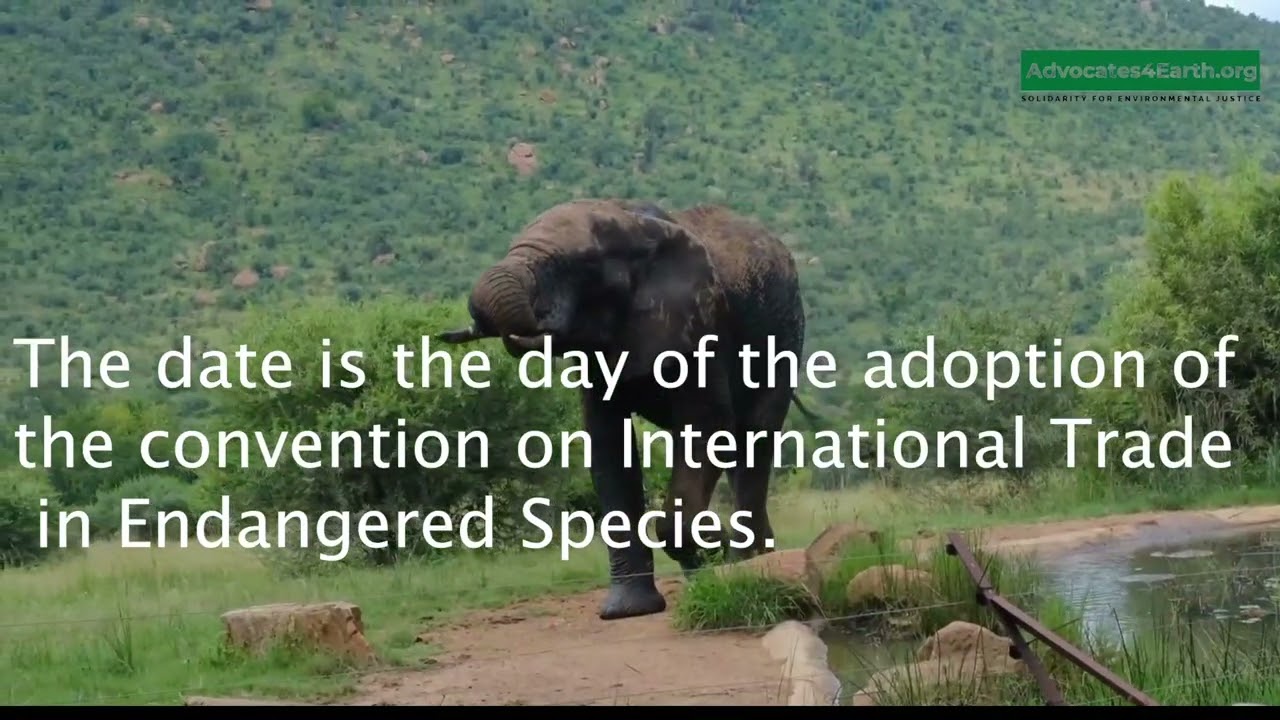 Celebrating 50 Years of Wildlife Protection-CITES