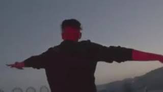 Alemán - Perro callejero 🐕