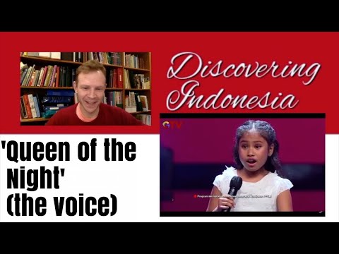 Adelways Lay, The Magic Flute, The Voice Kids Indonesia - Pro Violinist Reaction