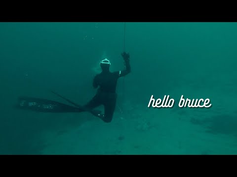 Hello Bruce!