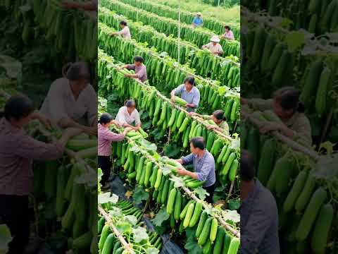 # haciendoAgricultura #En la Campera#OcupadoAgricultura#qo