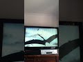 Closing To Walking With Dinosaurs Part 1 1999 VHS Australia