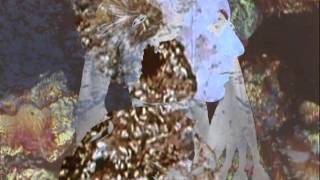 Julia Holter | Try To Make Yourself A Work Of Art