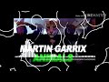 Animal Trance Martin Garrix 2019